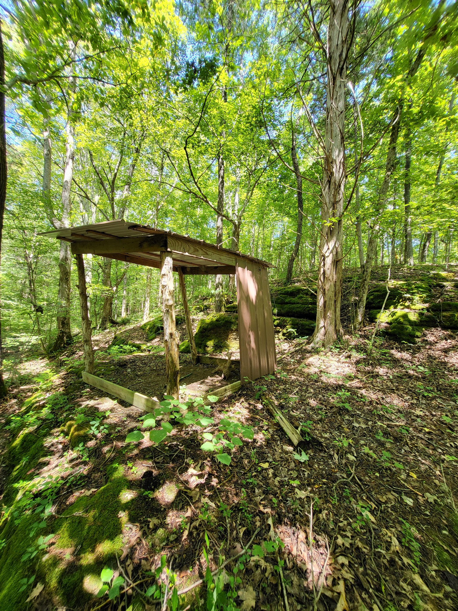 6704 Rockhouse Rd Property Photo 20
