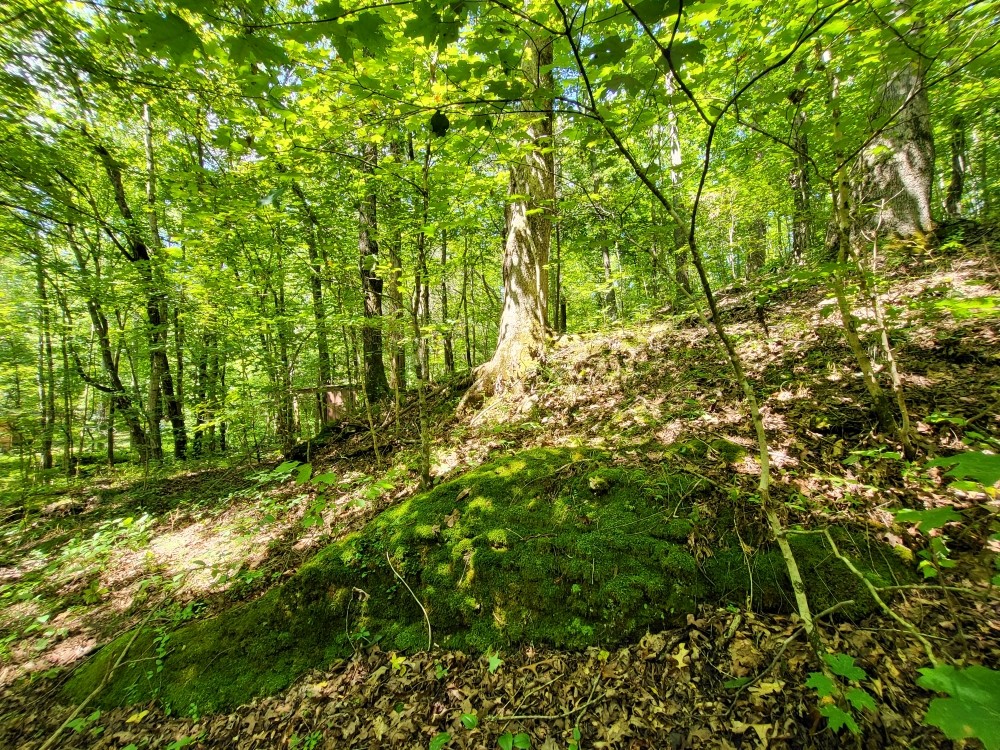 6704 Rockhouse Rd Property Photo 23