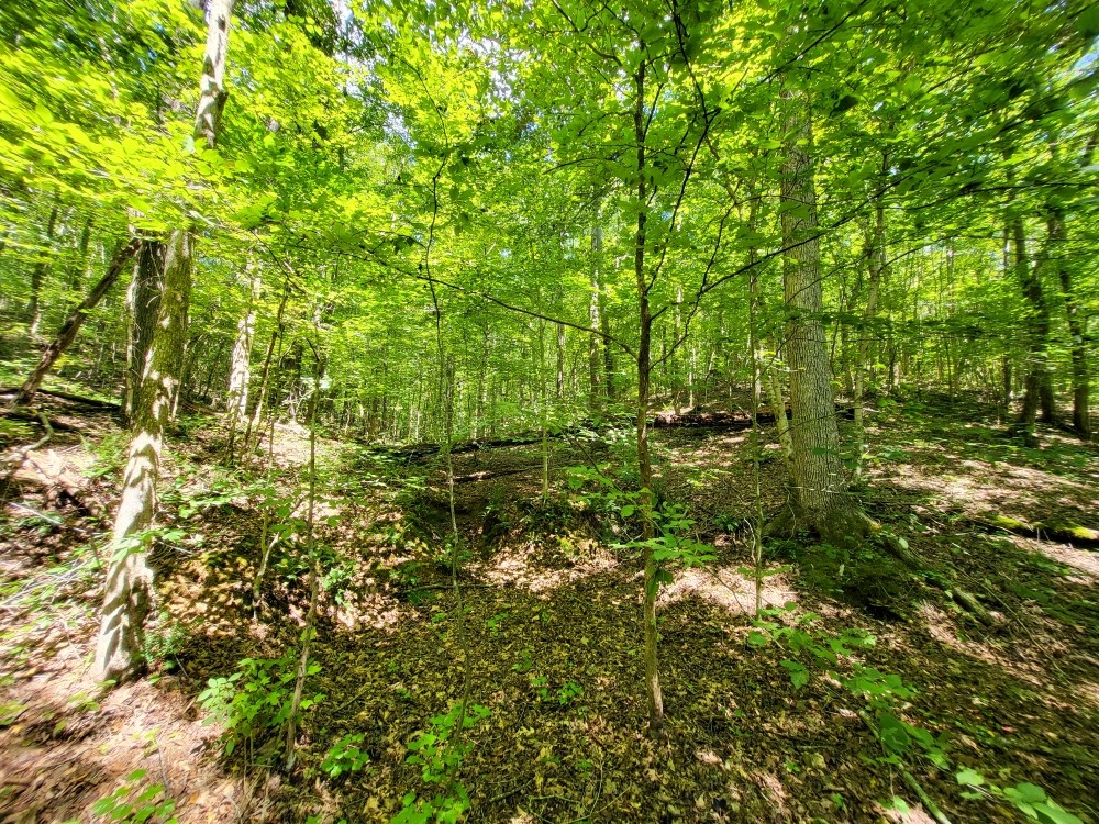 6704 Rockhouse Rd Property Photo 25
