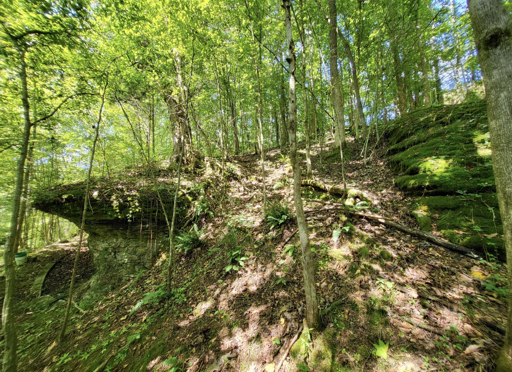 6704 Rockhouse Rd Property Photo 37