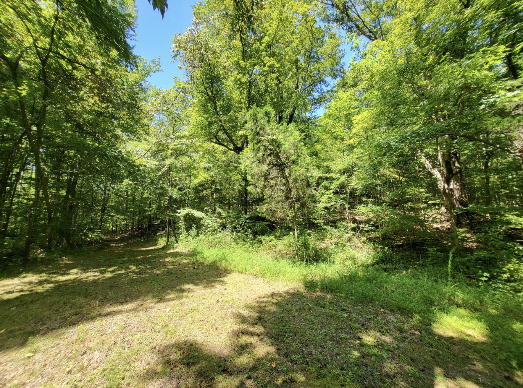 6704 Rockhouse Rd Property Photo 42