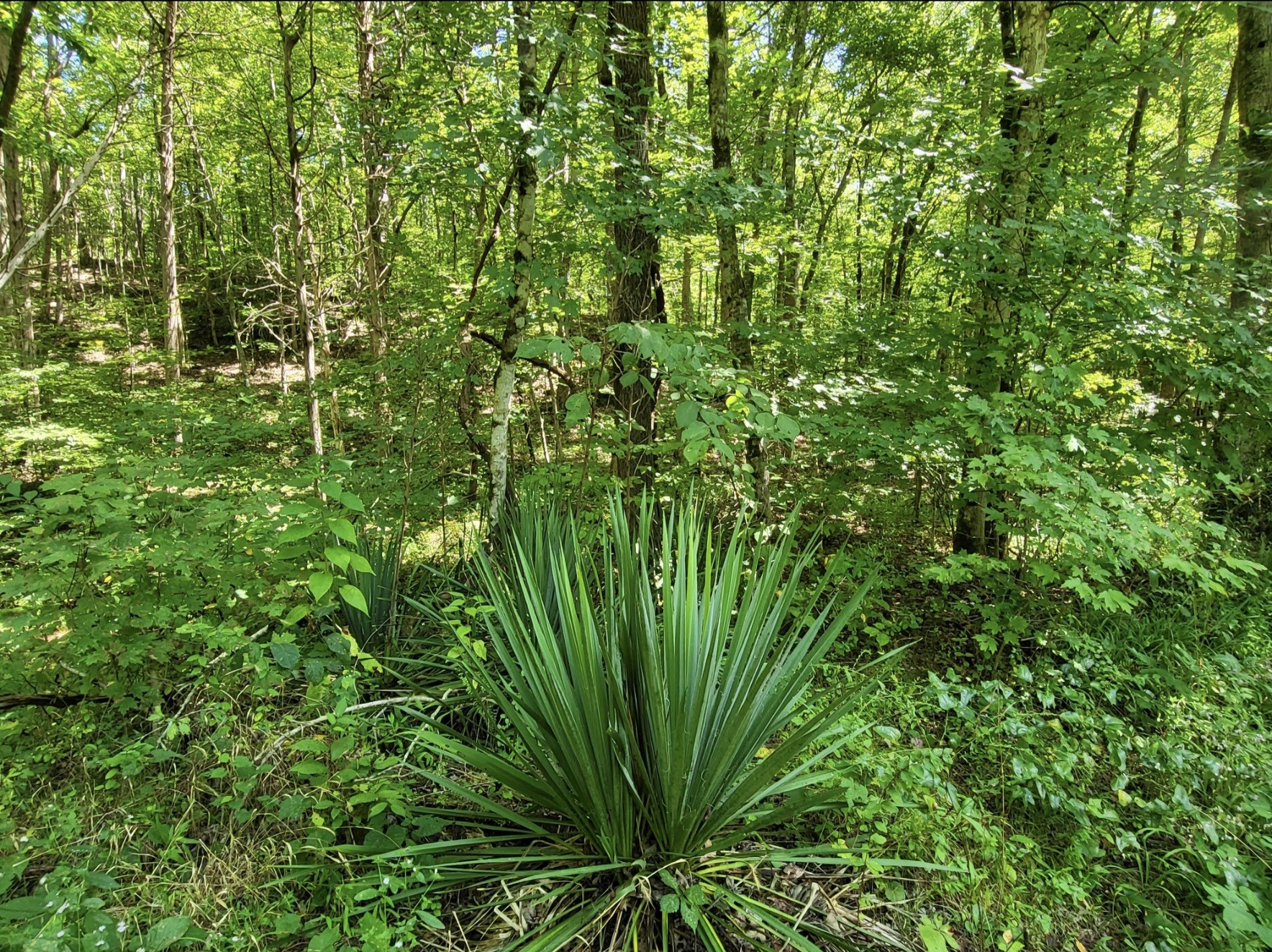 6704 Rockhouse Rd Property Photo 44