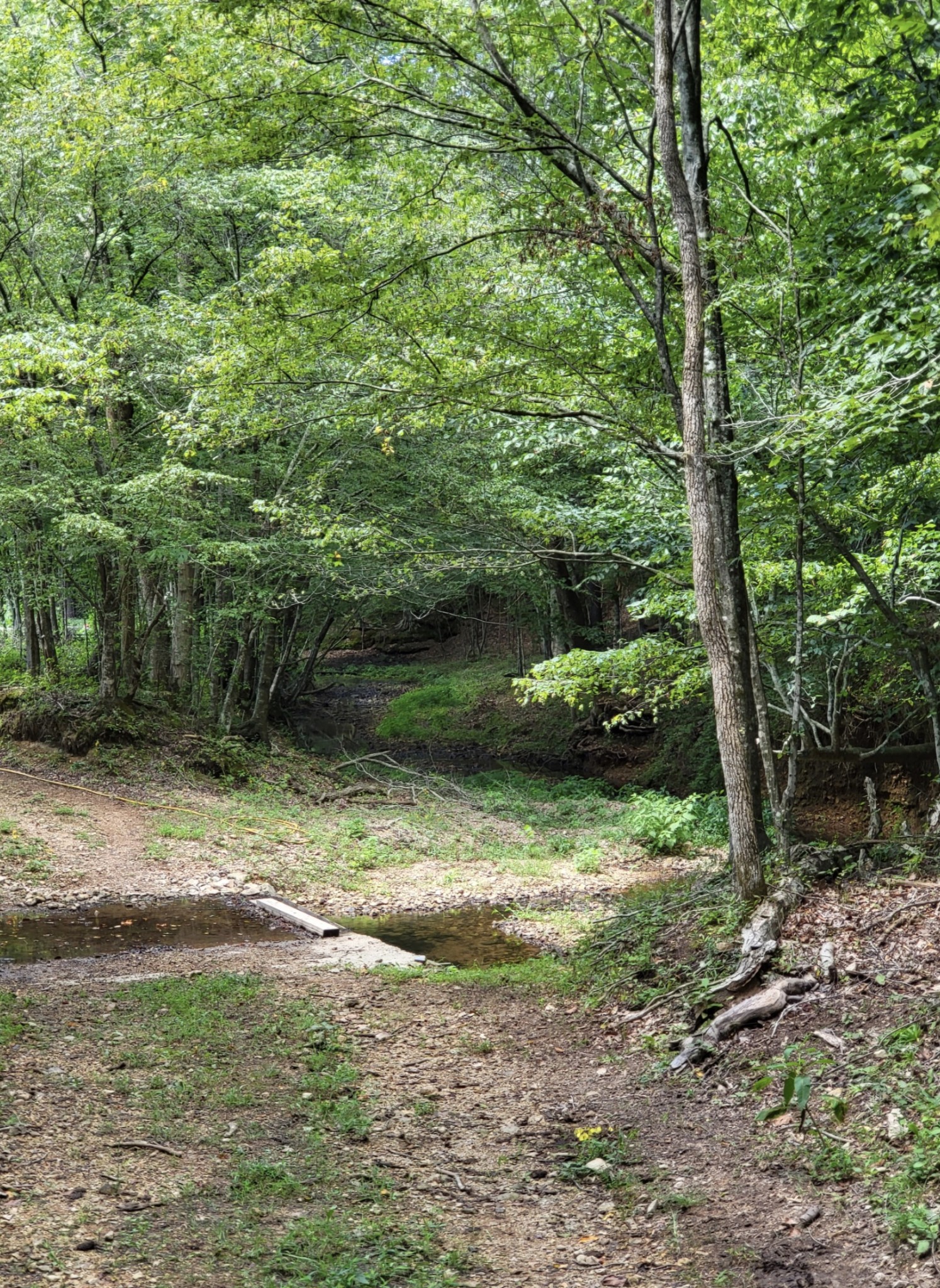6704 Rockhouse Rd Property Photo 58