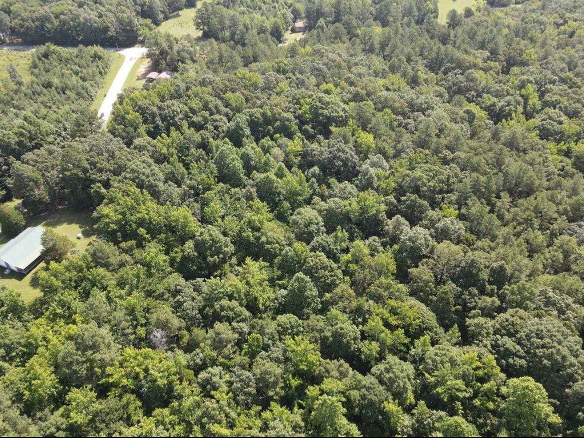 4875 Dollar Rd Property Photo 28