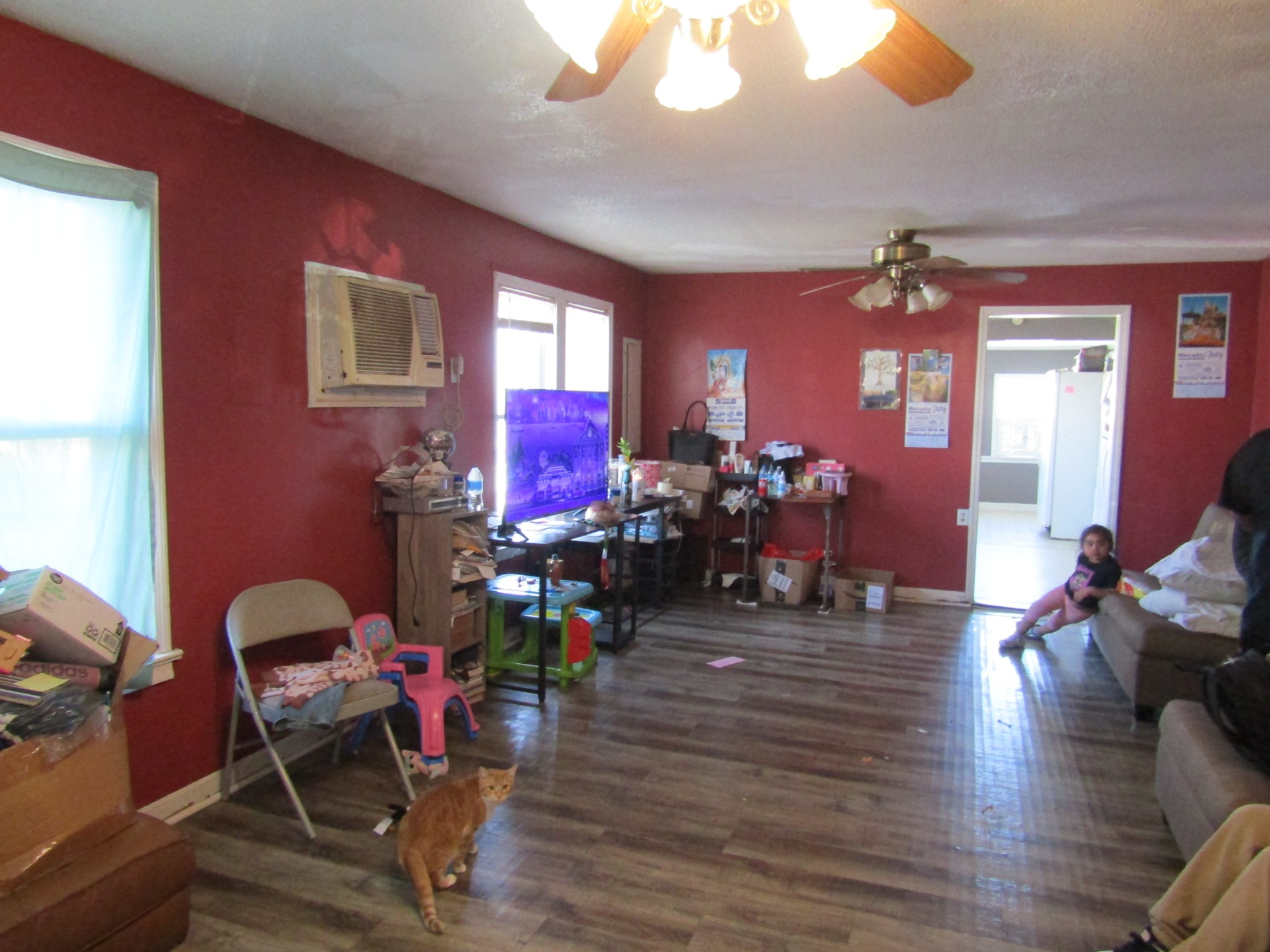 803 Mill St Property Photo 5