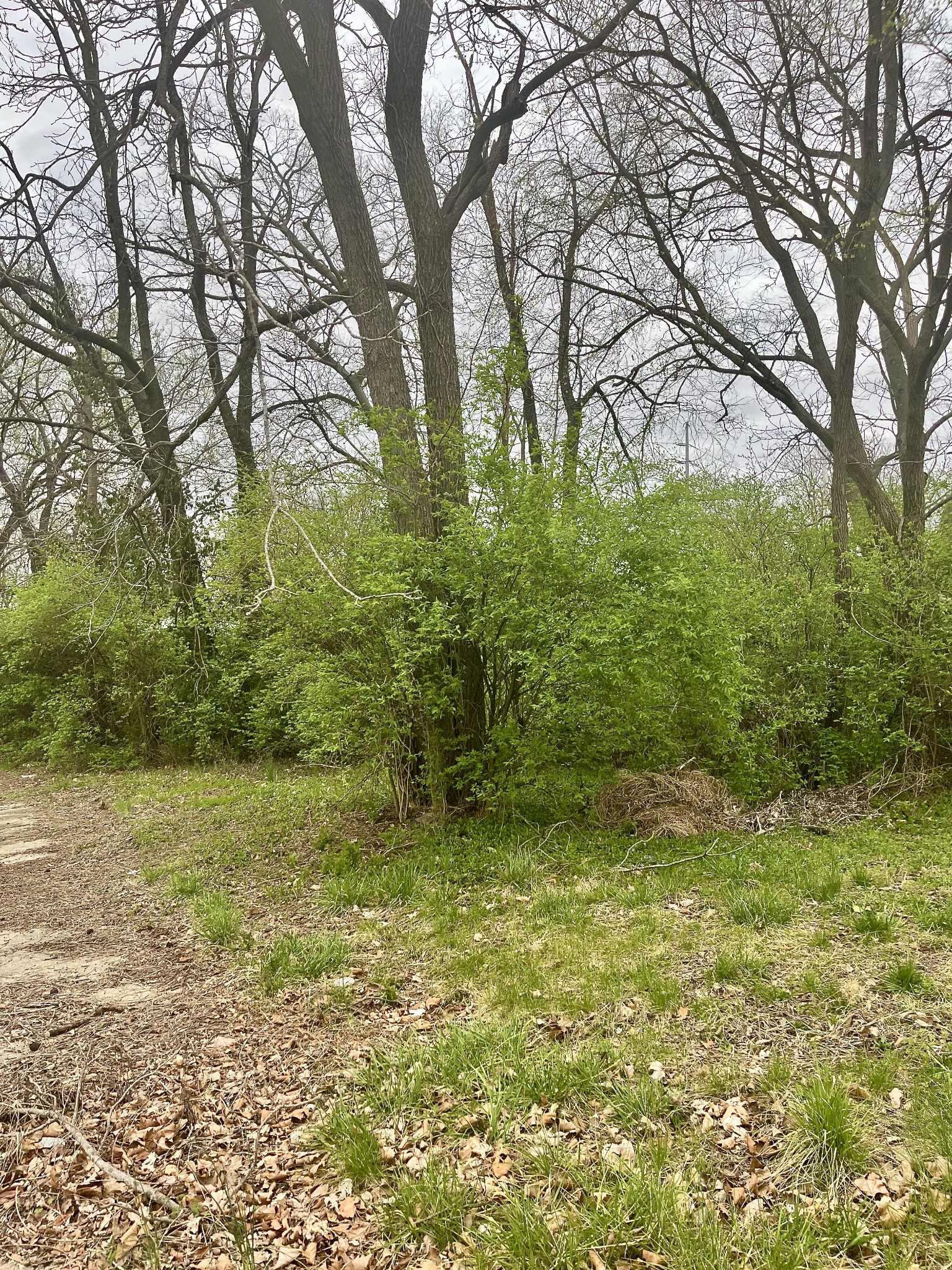 1717 Delta Ave Property Photo 1