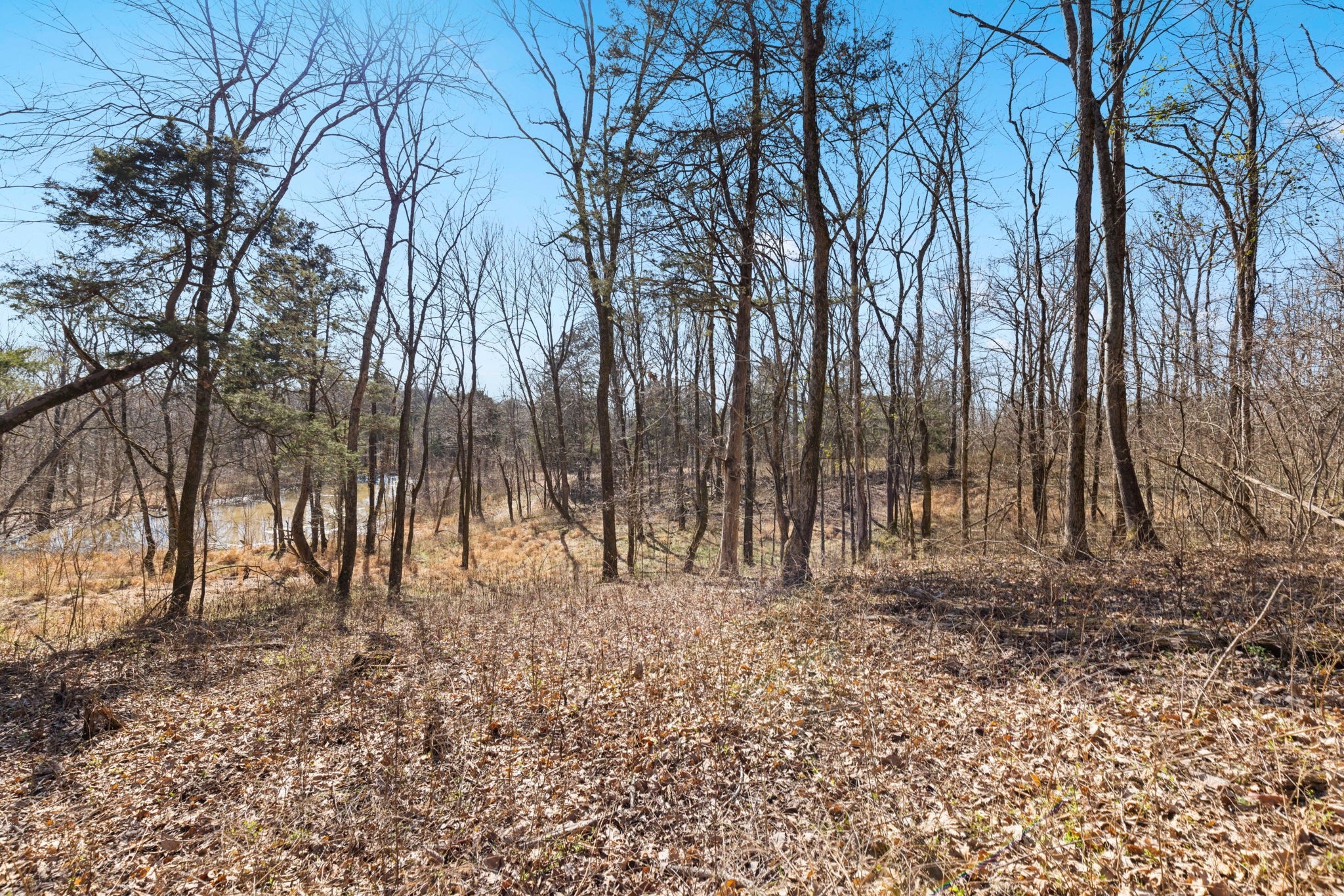 0 Chipman Rd Property Photo