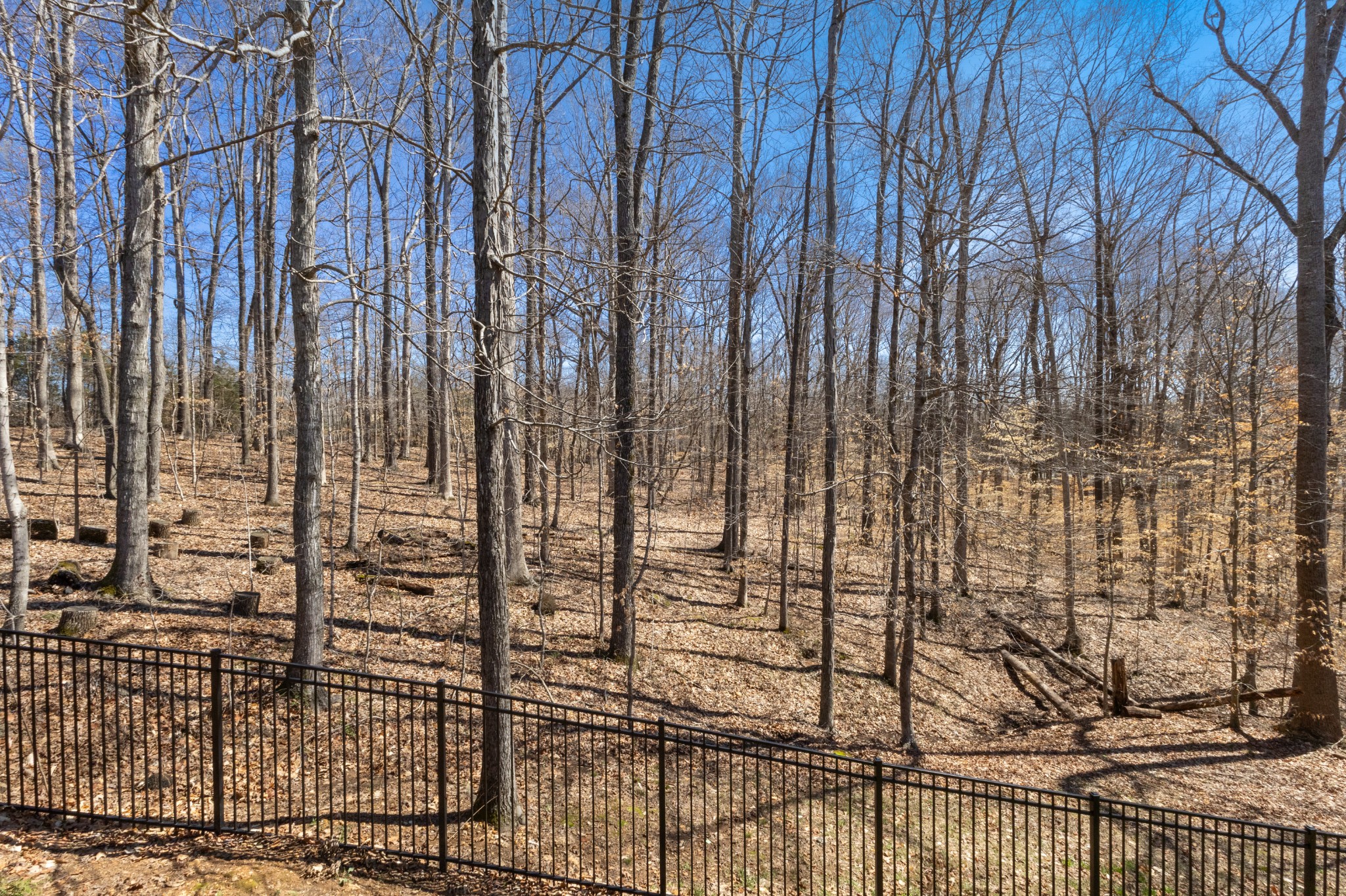 205 Birnam Wood Trce Property Photo 40