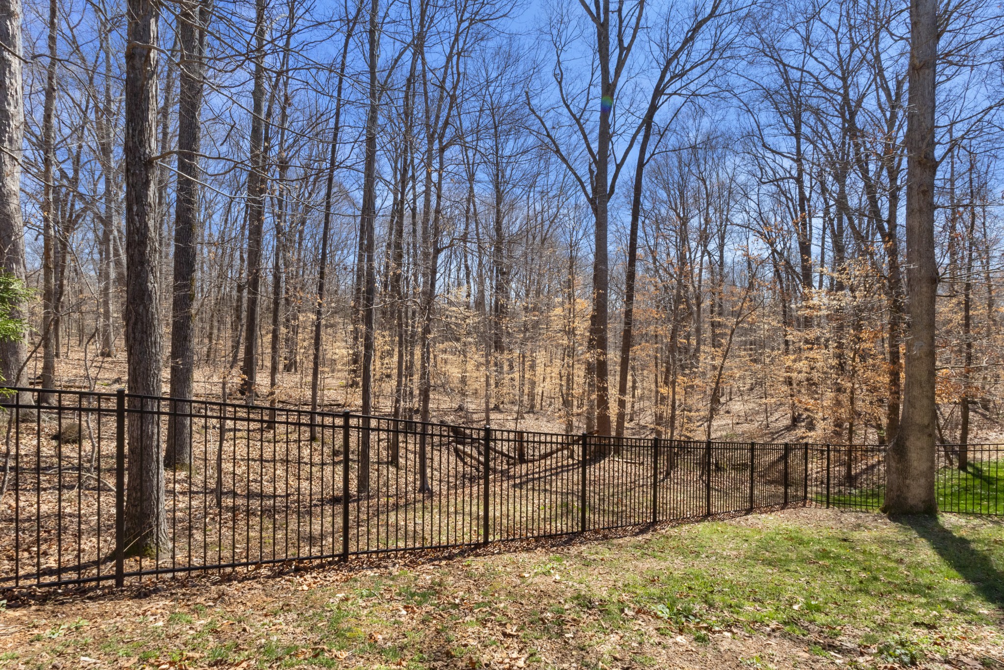 205 Birnam Wood Trce Property Photo 41