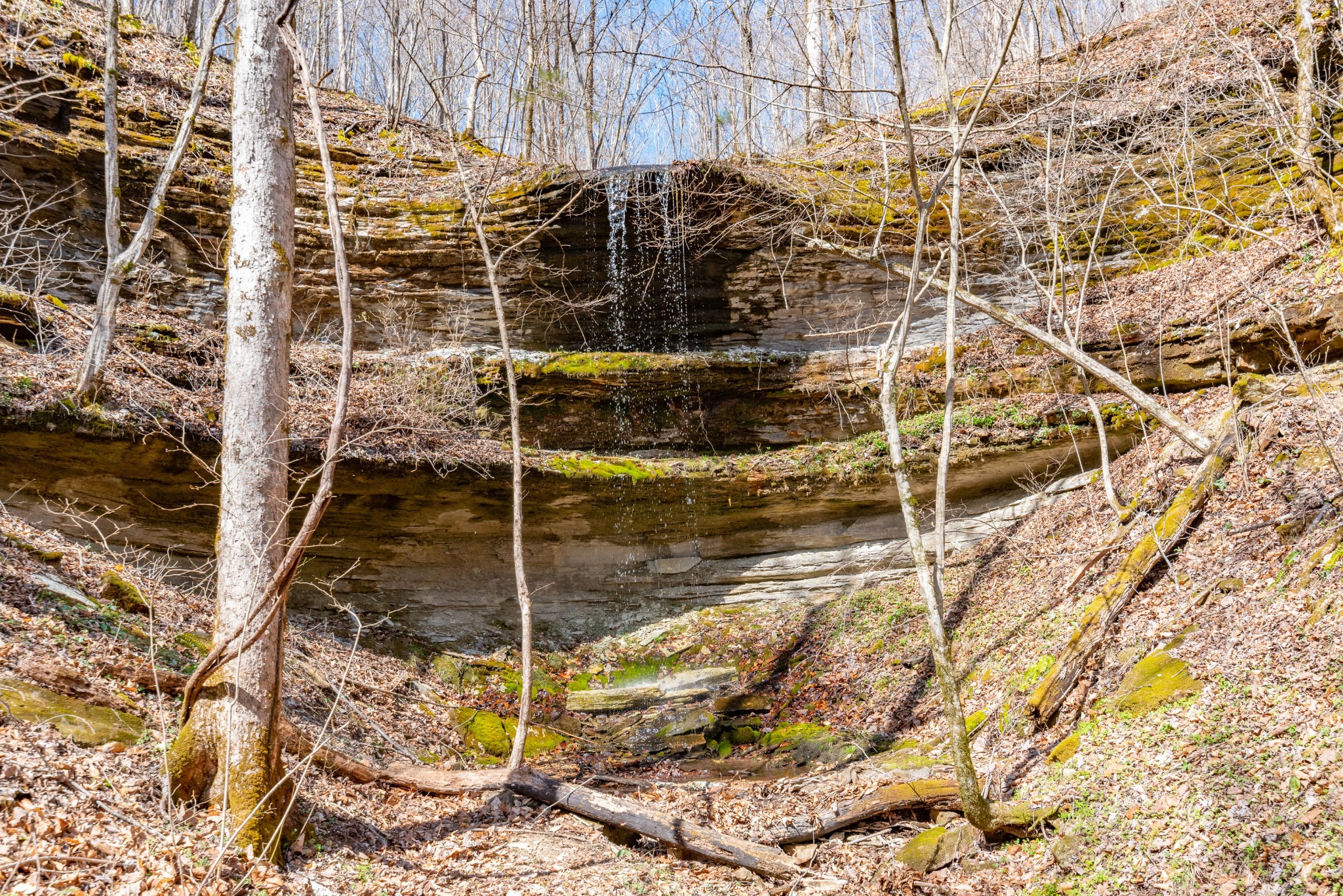 1627 Hurricane Creek Property Photo