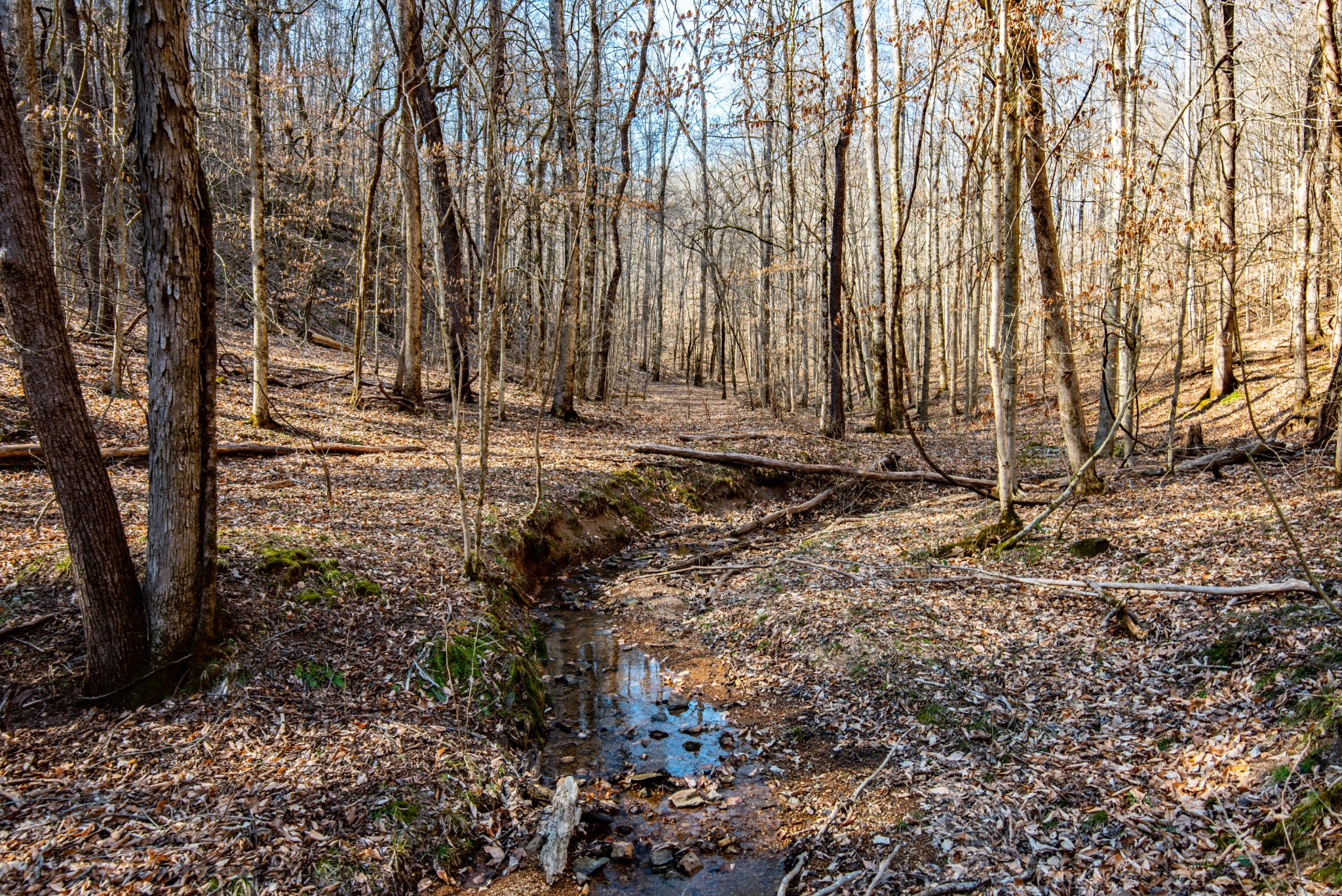 1627 Hurricane Creek Property Photo