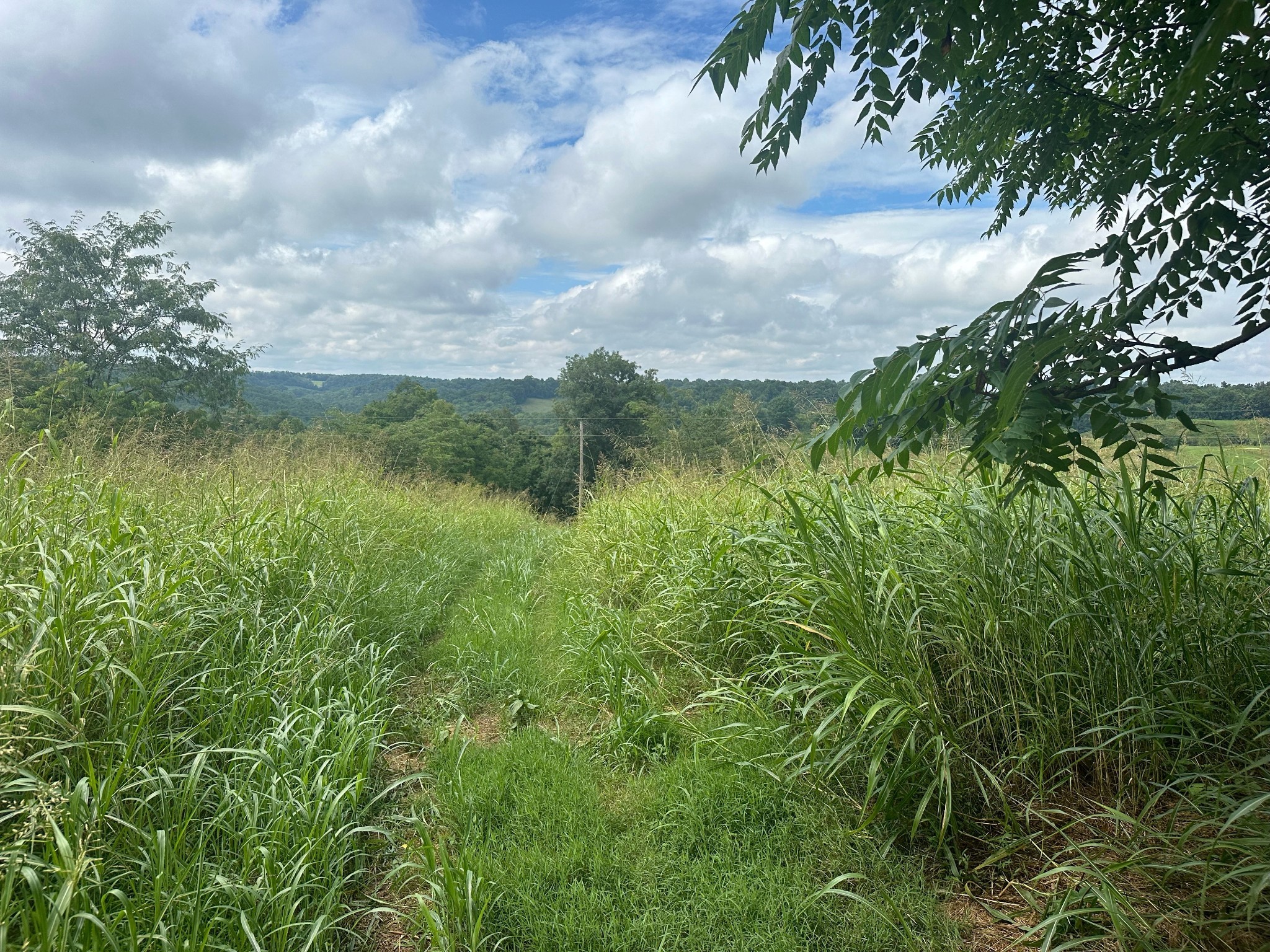 5a Young Hollow Road Property Photo 1