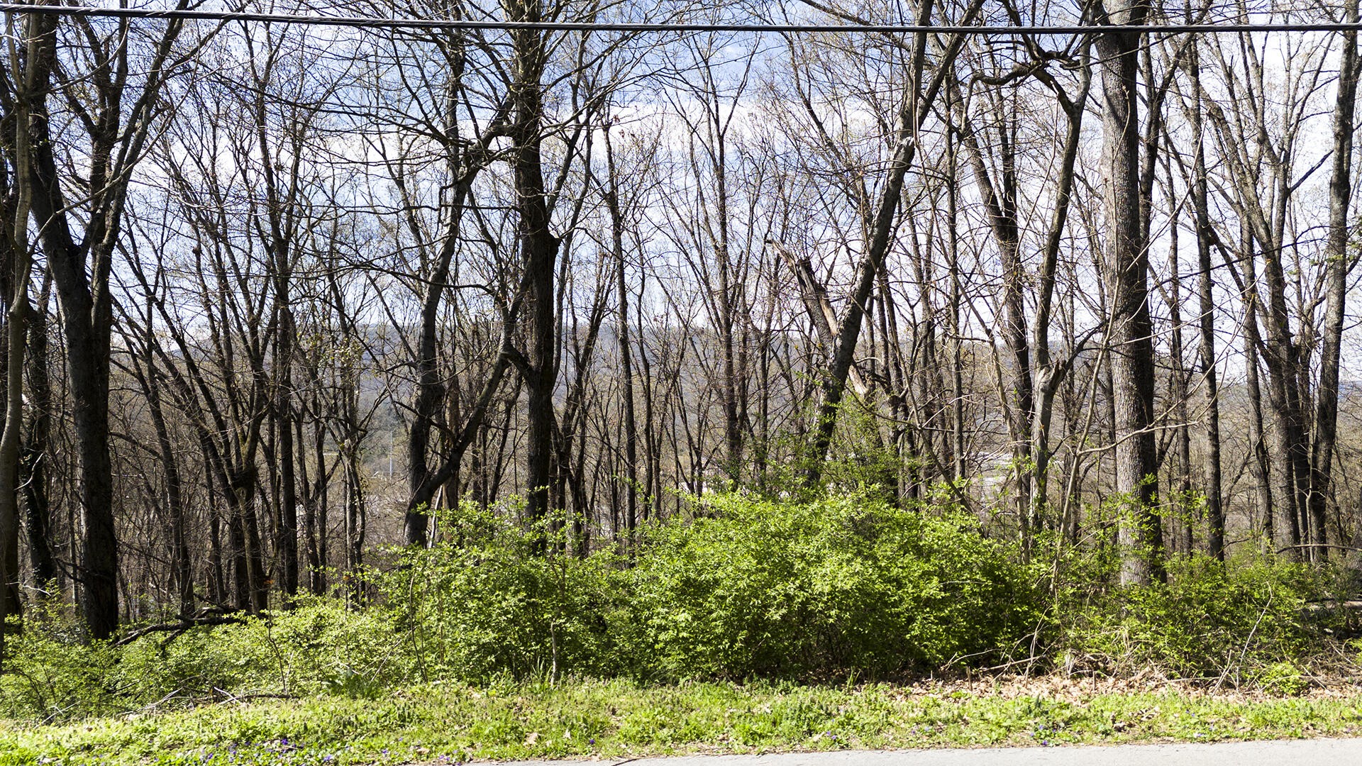 269 Whitehall Road Property Photo