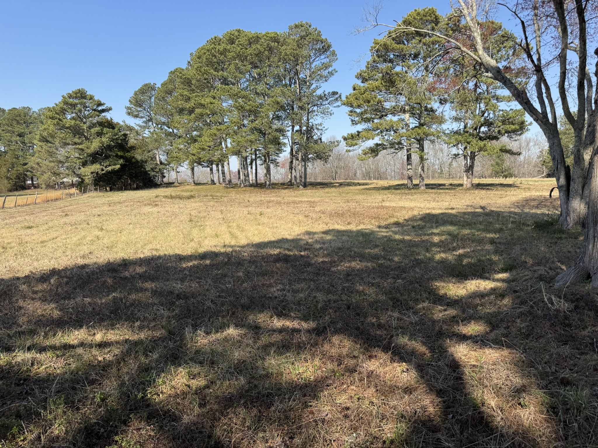 7a Mims Street Property Photo