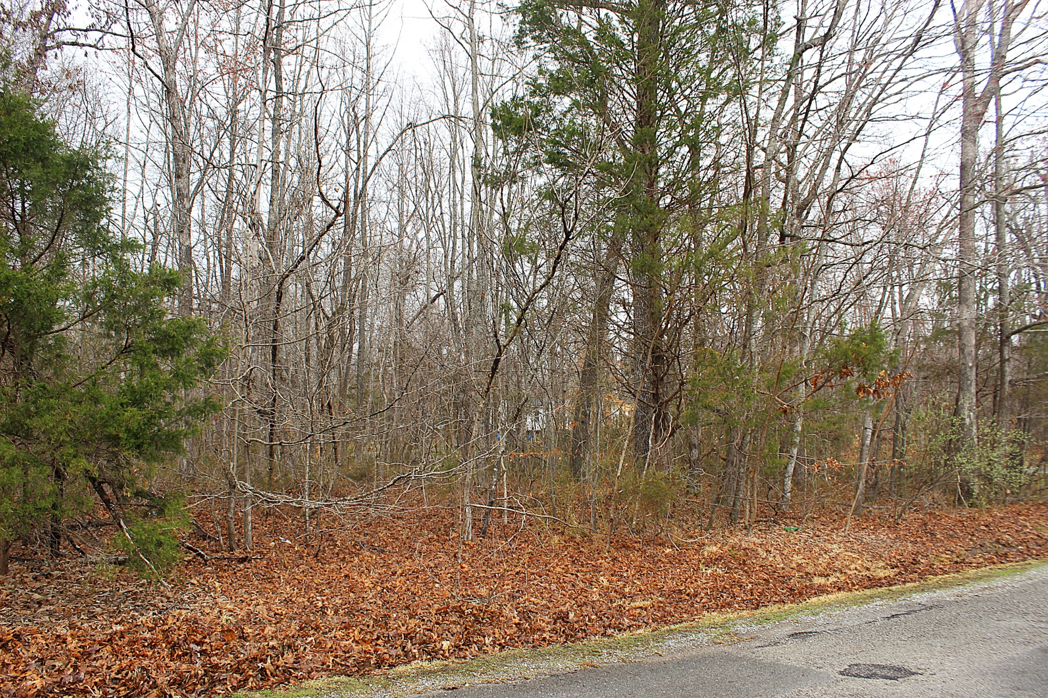 0 Lakeshore Dr Property Photo