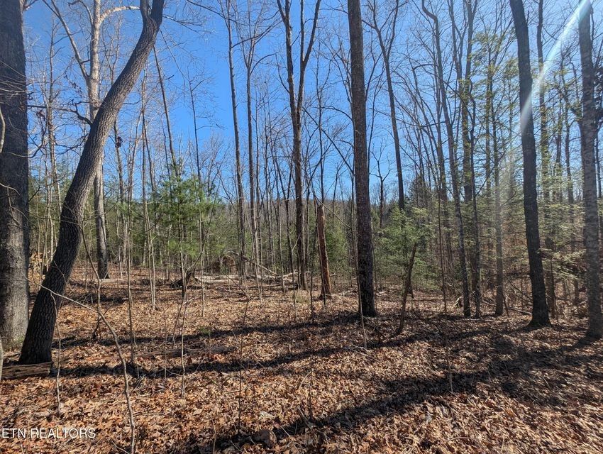0 Fork Dr, N Property Photo