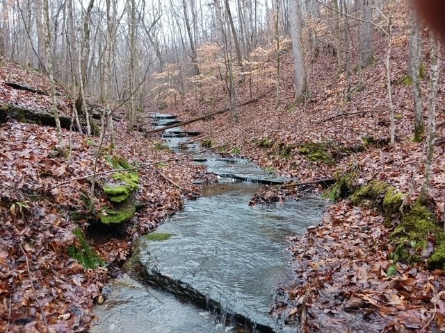 0 Brush Creek Rd Property Photo