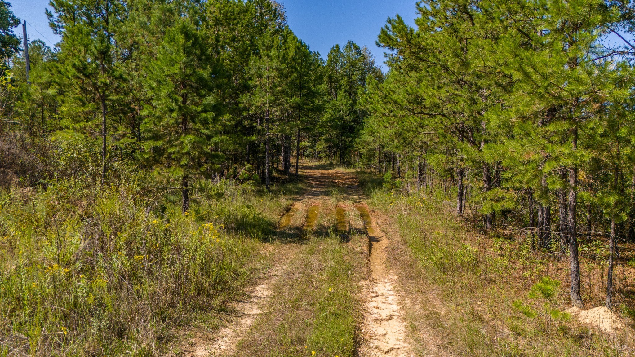 0 Happy Hollow Property Photo 1
