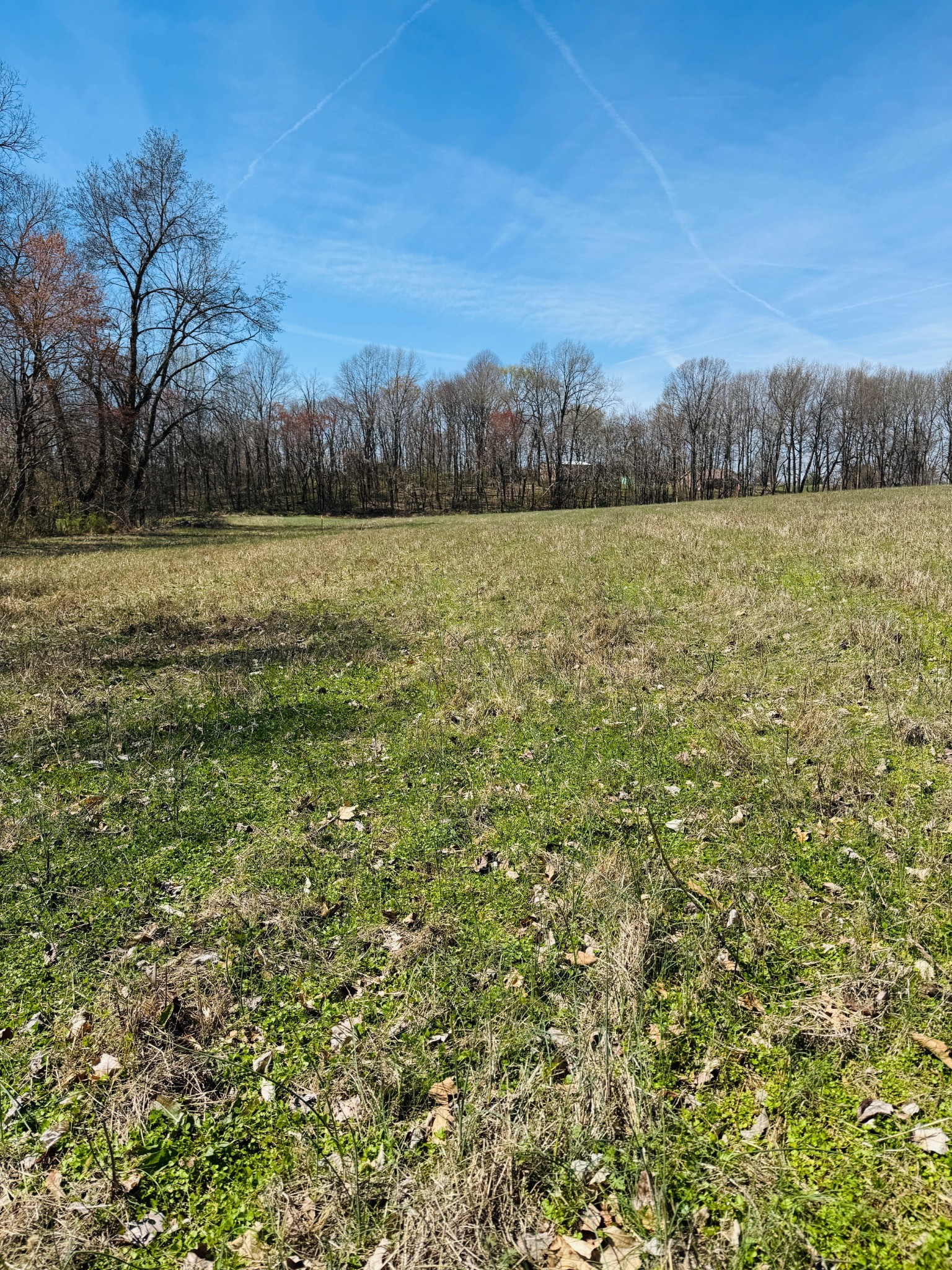 5096 White Springs Ln Property Photo