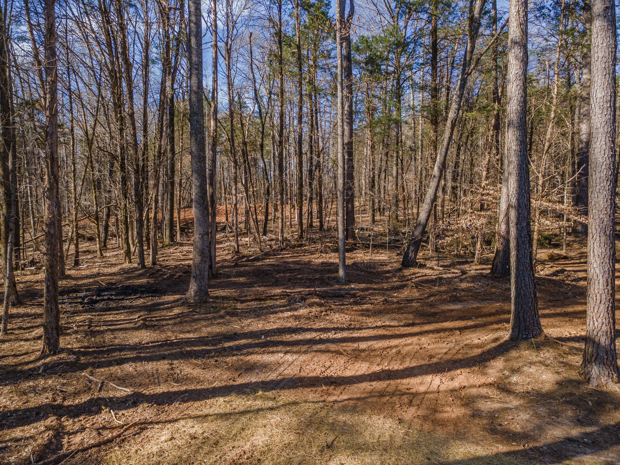 118 Long Rd Property Photo 28