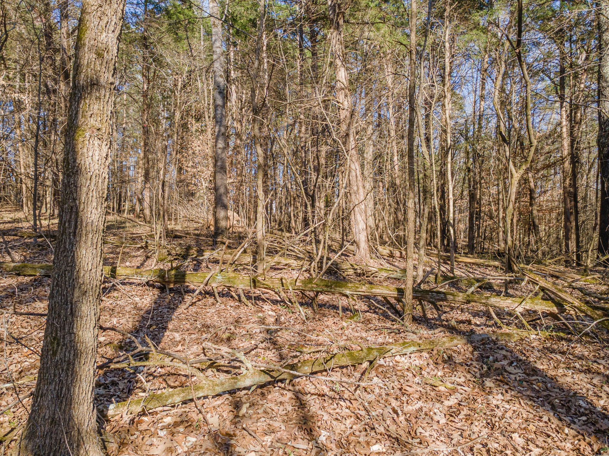 118 Long Rd Property Photo 34
