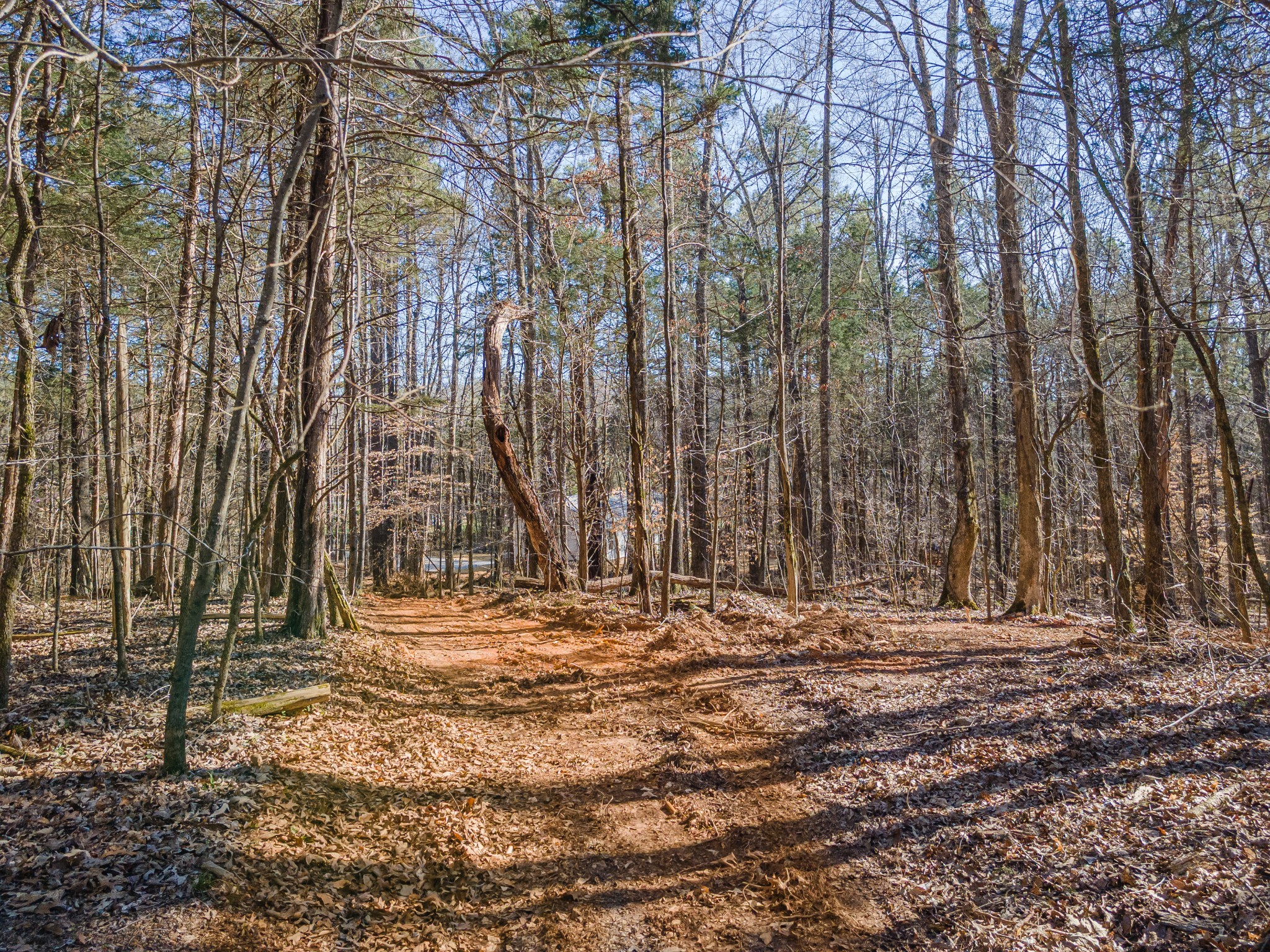 118 Long Rd Property Photo 35