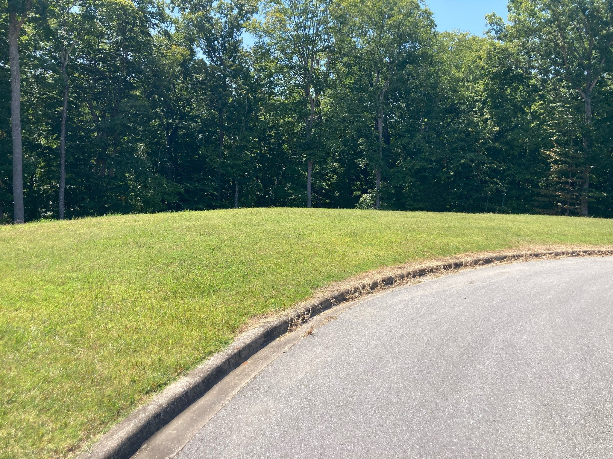 168 Steeple Ridge Way Property Photo 1
