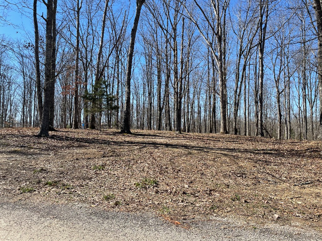 131 Shelton Cemetery Rd Property Photo 1