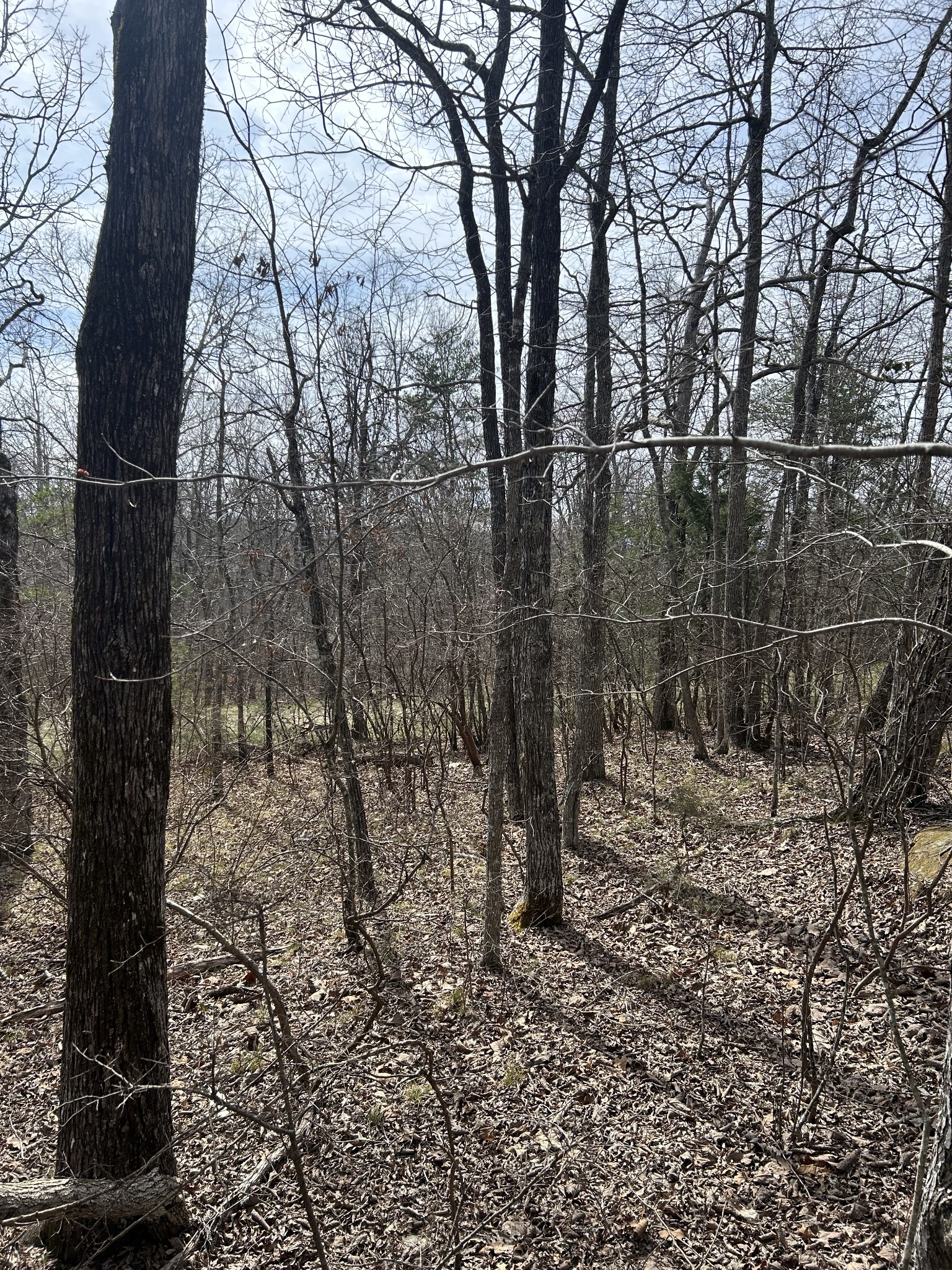 153 Briar Hill Loop Property Photo