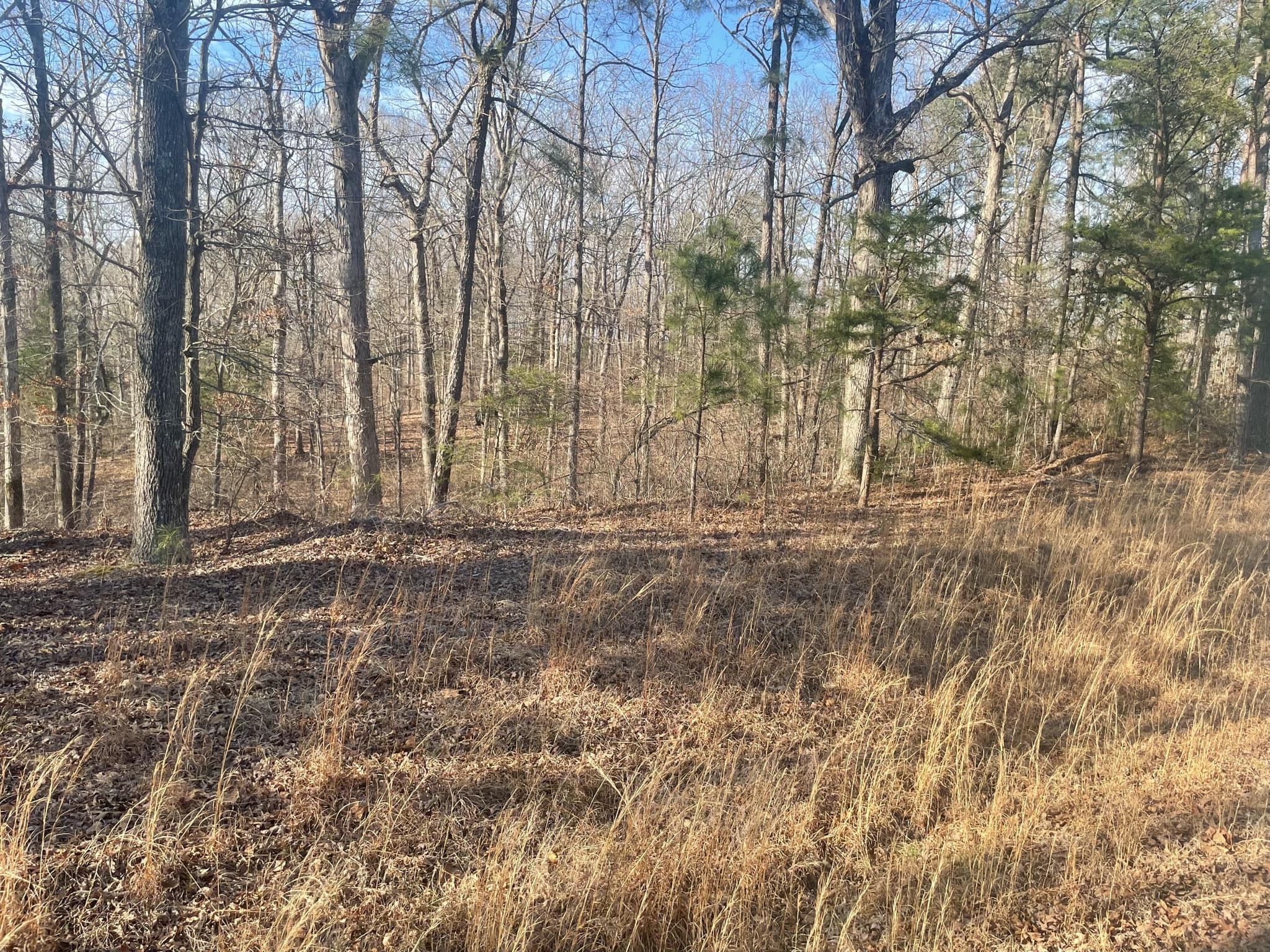 217 Magee Trail Property Photo