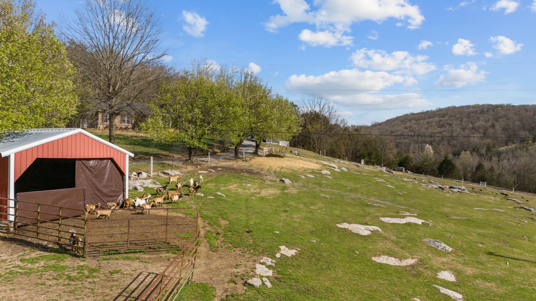 7474 Nashville Hwy Property Photo 41