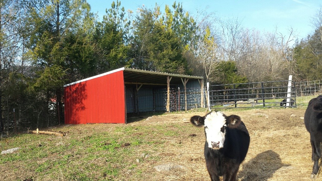 7474 Nashville Hwy Property Photo 42