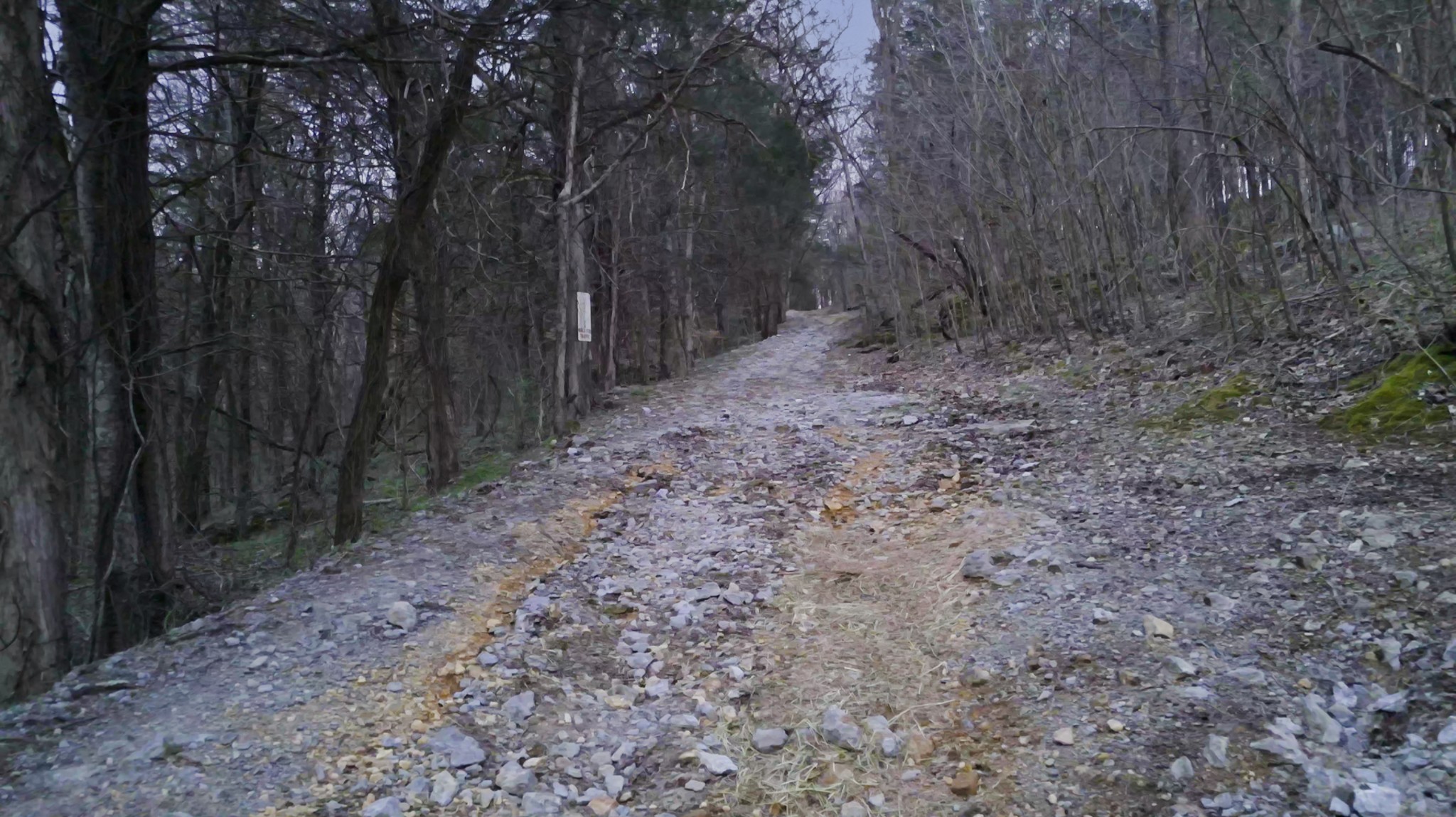 7474 Nashville Hwy Property Photo 77