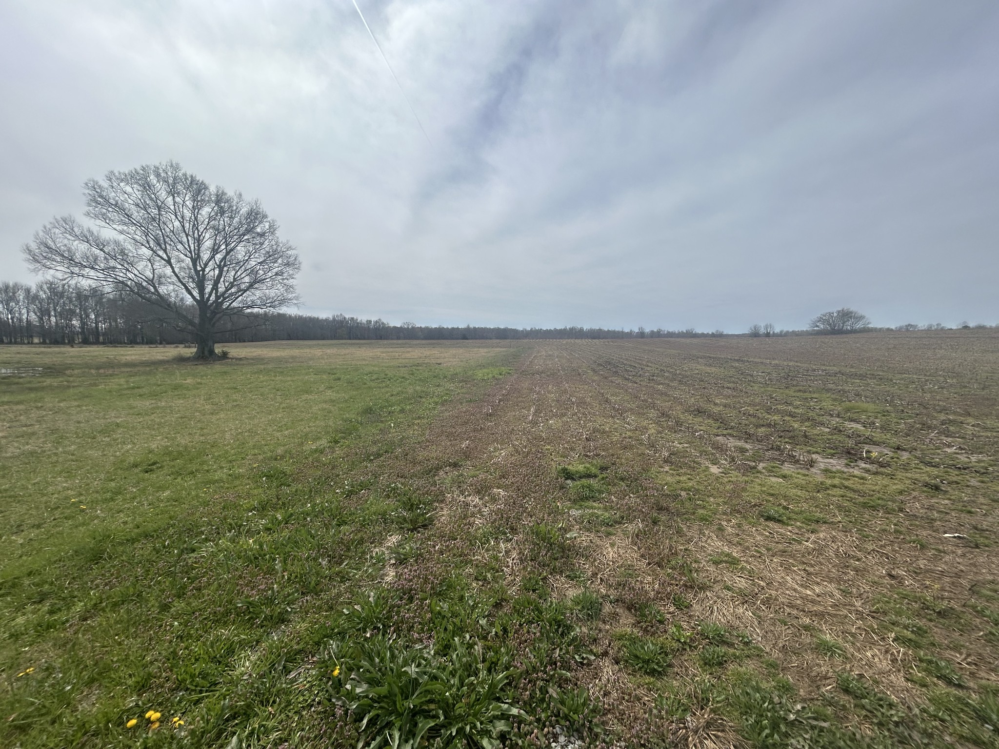 0 Vanntown Road Property Photo