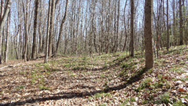 391 Ridge Rd Property Photo
