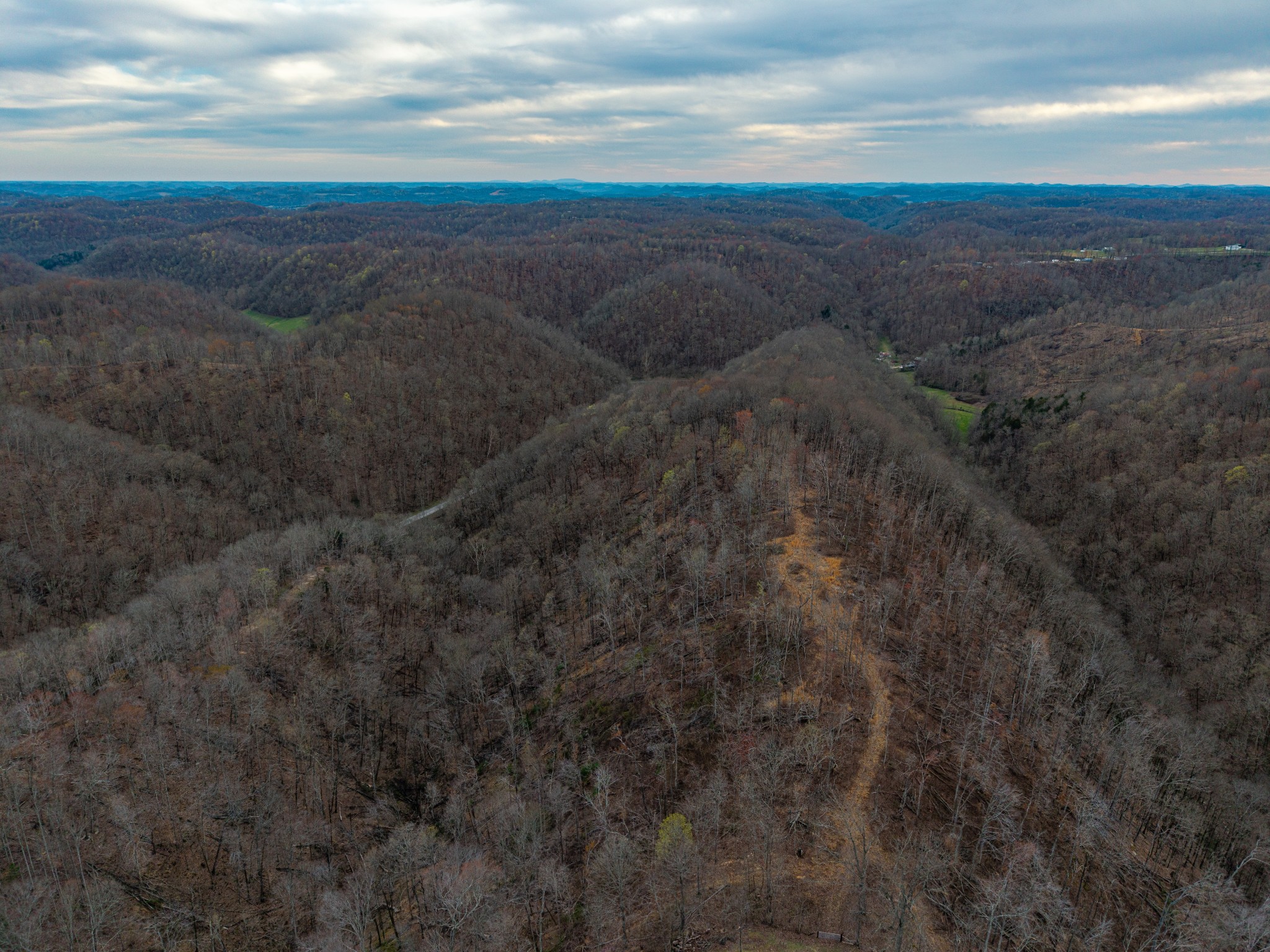 1438 Wartrace Road Property Photo