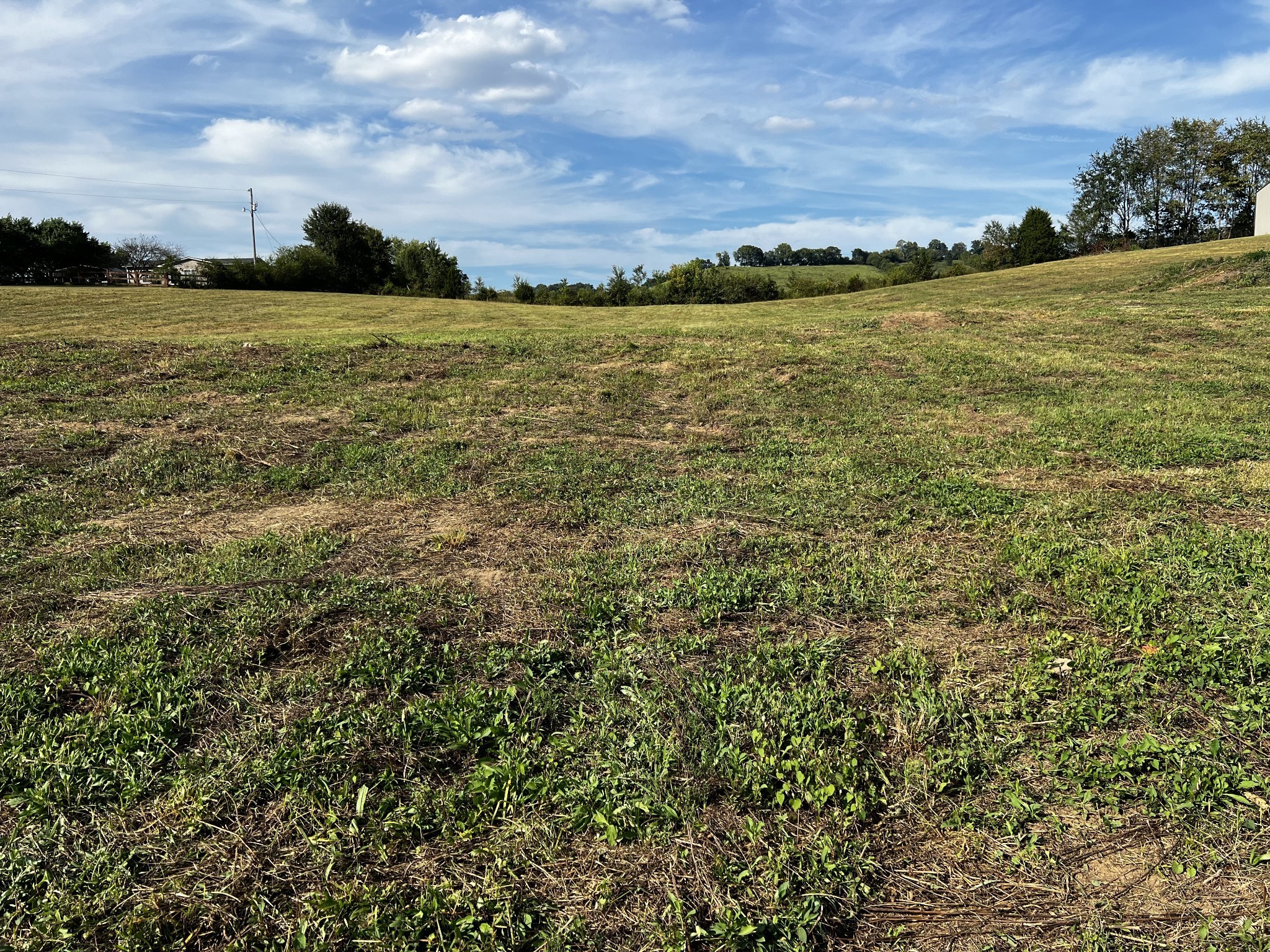 3026 Lynnville Hwy Property Photo
