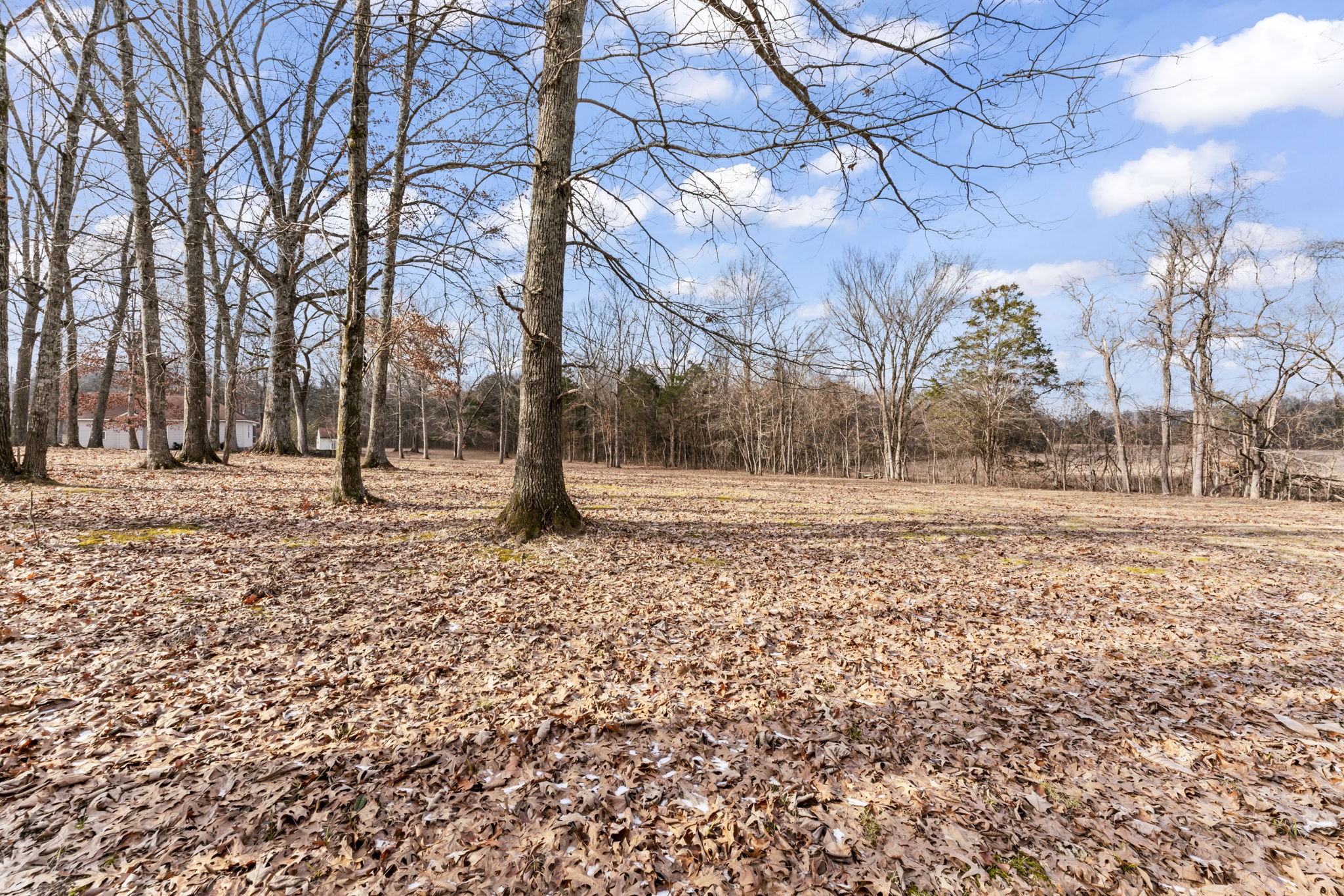 2394 Thompson Rd Property Photo 6