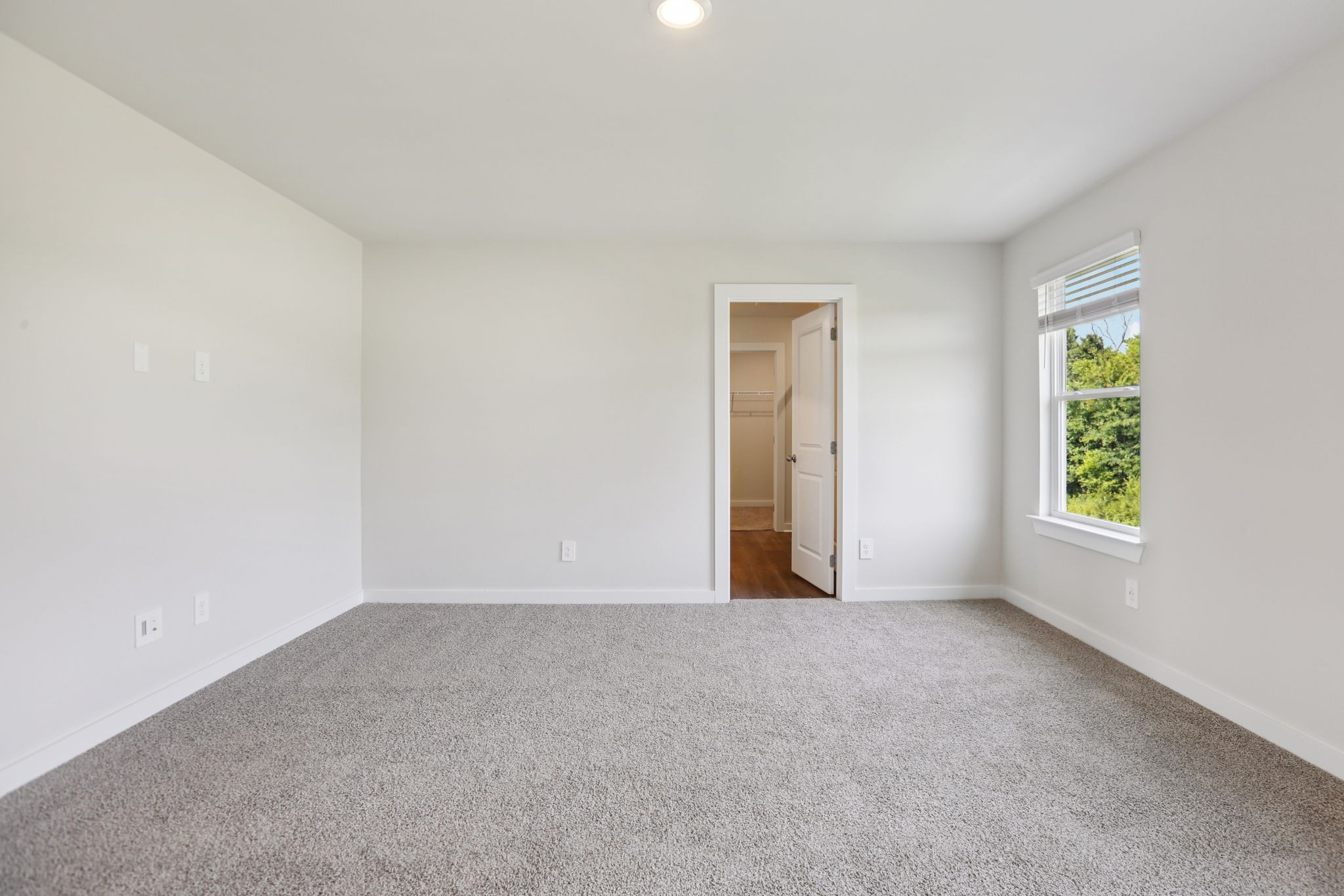 3823 Hallanday Drive Property Photo 42