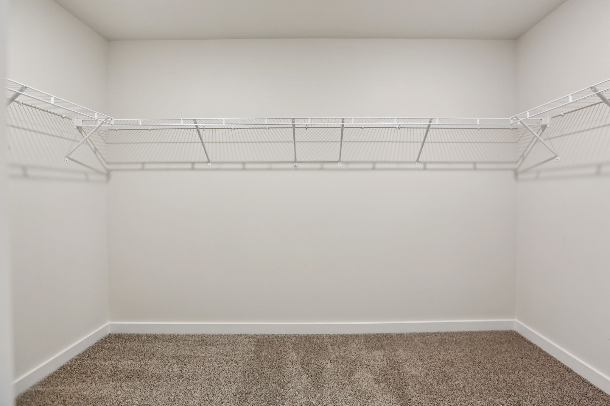 3823 Hallanday Drive Property Photo 49