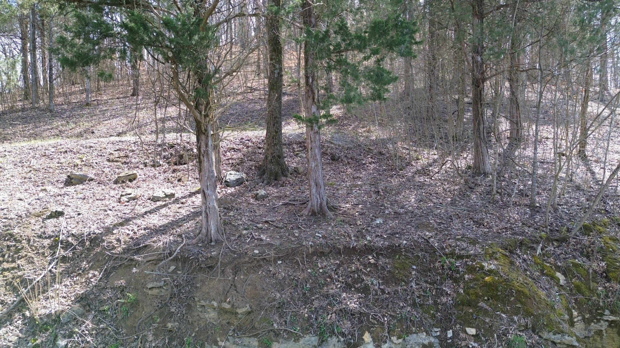 87 Harbor Pointe Dr Property Photo 4