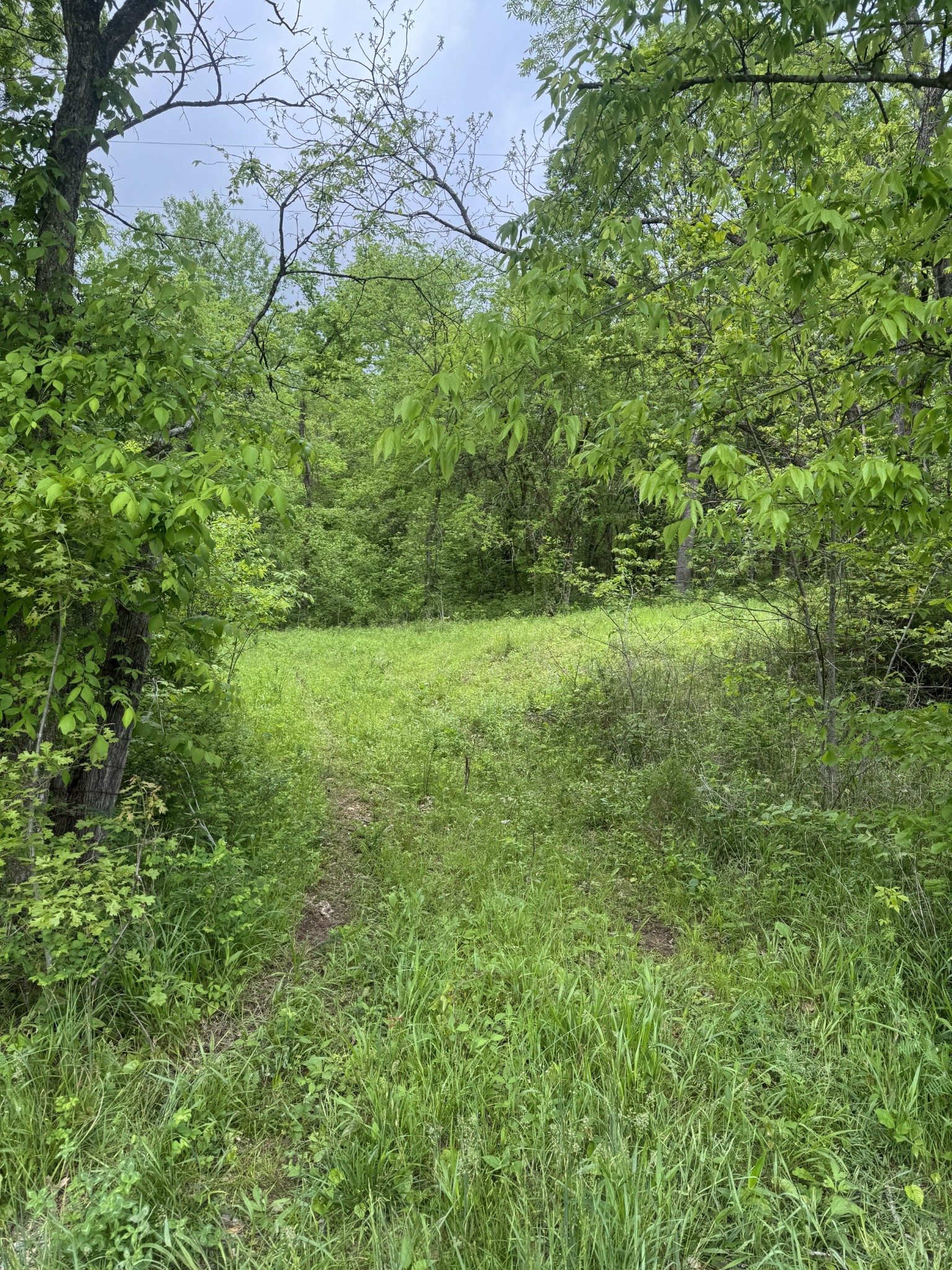 0 Panhandle Road Property Photo 1
