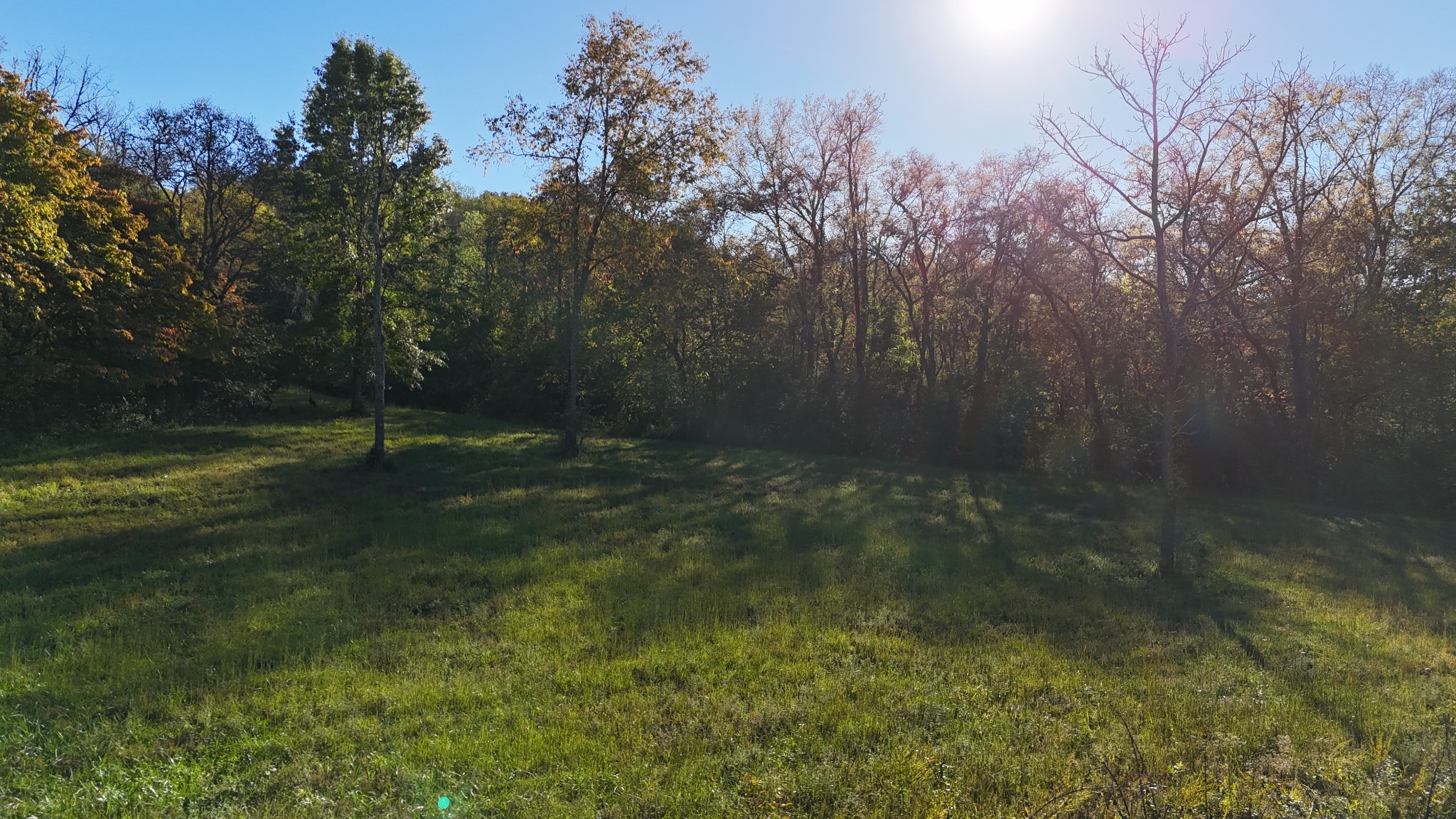 0 Akin Ridge Road Property Photo 1