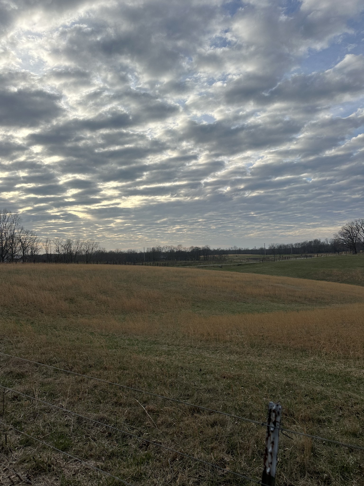 0 Weakley Loop Rd Property Photo