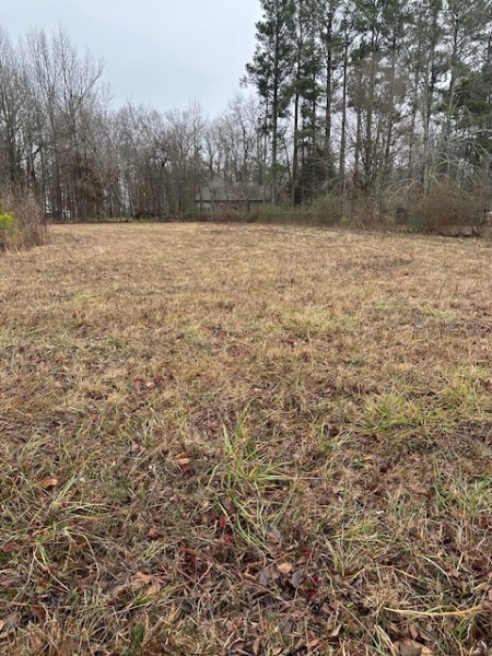 0 Doak Rd Property Photo