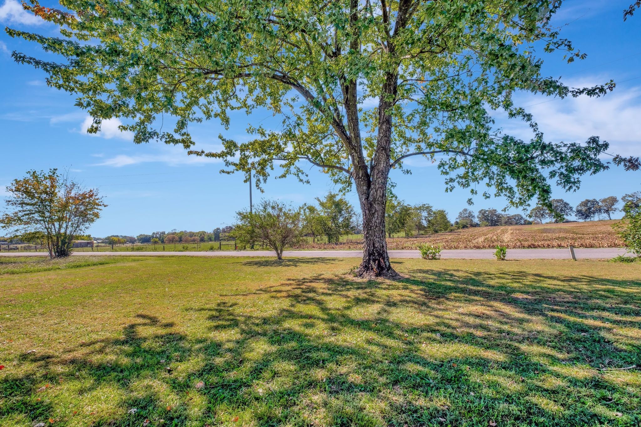 38 Big Springs Road Property Photo 7