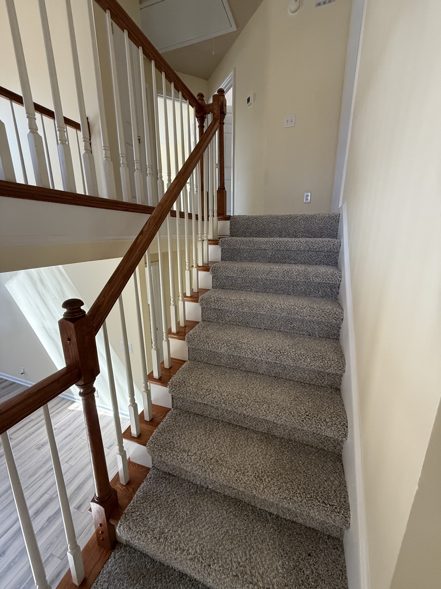 222 Mandella Way Property Photo 17