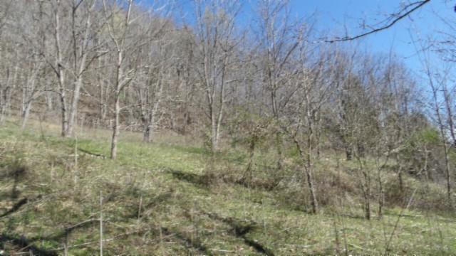 0 Sugar Creek Rd Property Photo