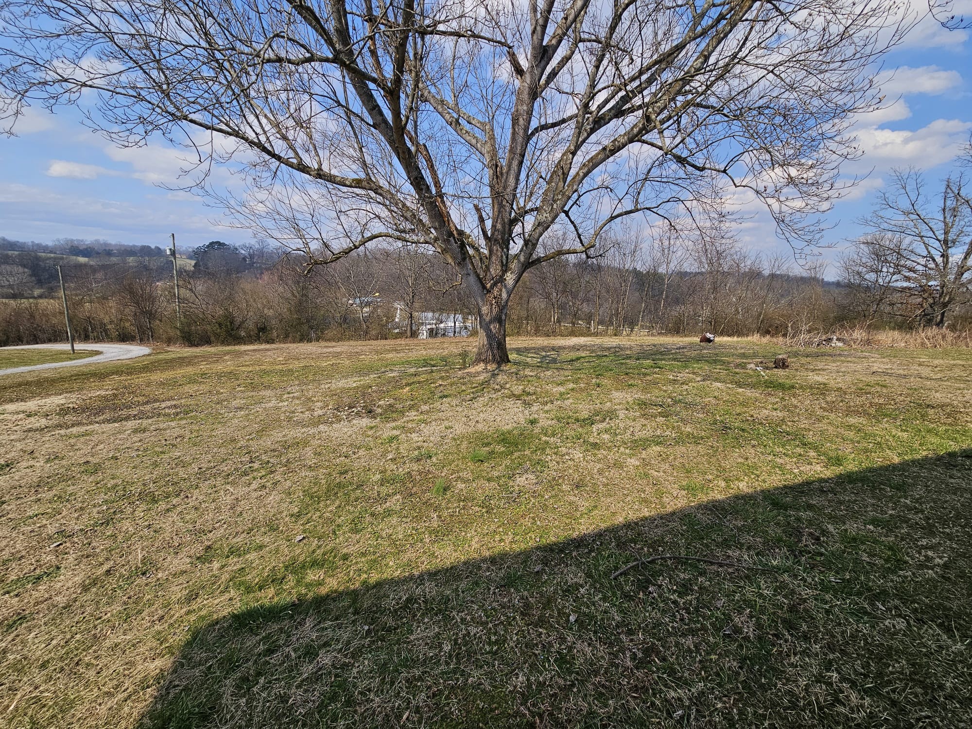 4020 Wade Rd, W Property Photo 6