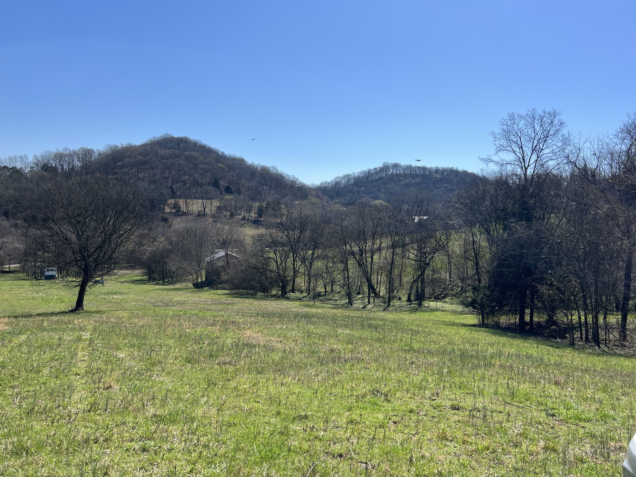 0 Hog Hollow Lane Property Photo